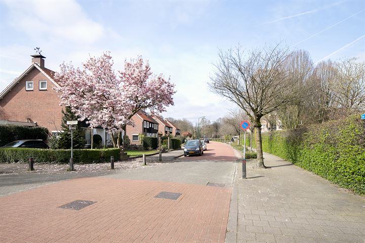 Bekijk foto 57 van Dr. de Visserstraat 47