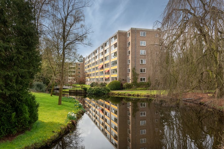 Bekijk foto 1 van Laan van Rijnwijk 1-B42