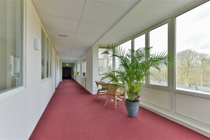 Bekijk foto 36 van Laan van Rijnwijk 1-B42