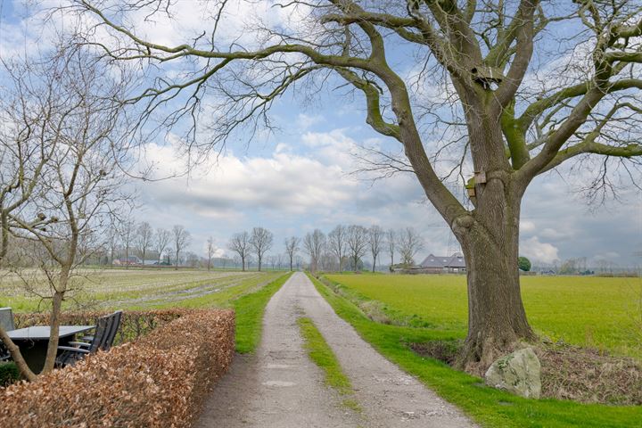 Bekijk foto 4 van Witmanweg 35