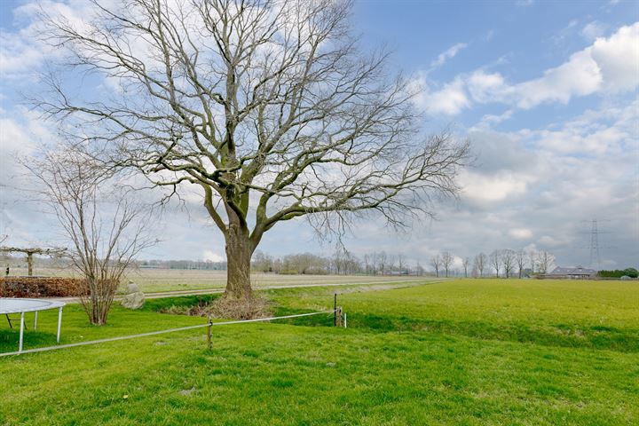 Bekijk foto 5 van Witmanweg 35