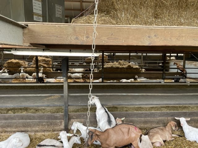 Polderweg 55 - Heusden (Gem. Asten) - Afbeelding 7