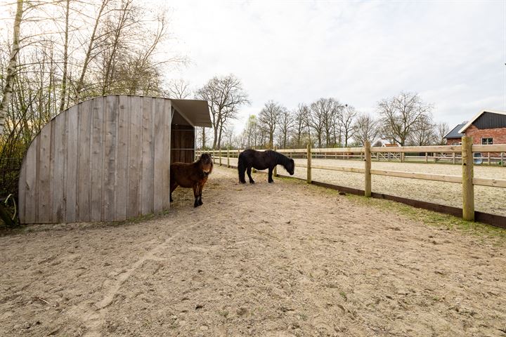 Bekijk foto 63 van Haaksbergseweg 156