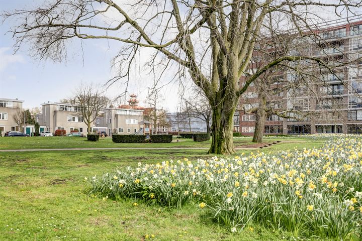 Bekijk foto 40 van Rode Kruislaan 100