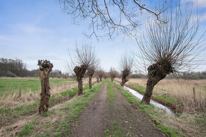 Bekijk foto 36 van Kaukasus 36