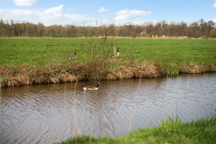 Bekijk foto 45 van Eelderdiep 14