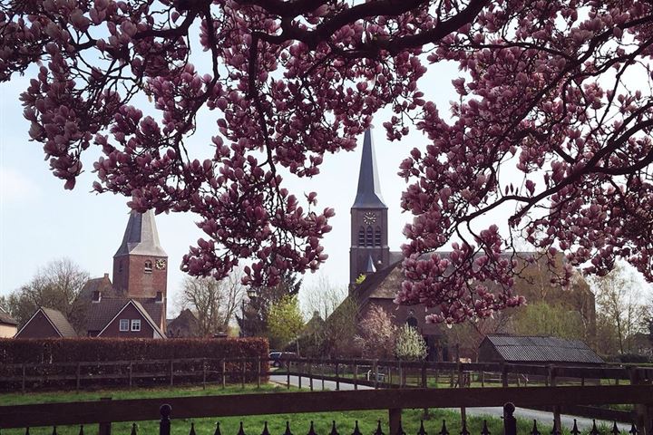 Bekijk foto 45 van Rijdt 41