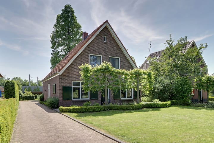 undefined main image
