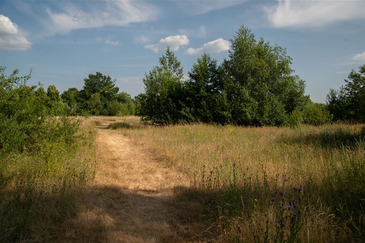 Bekijk foto 54 van Veghelsedijk 8