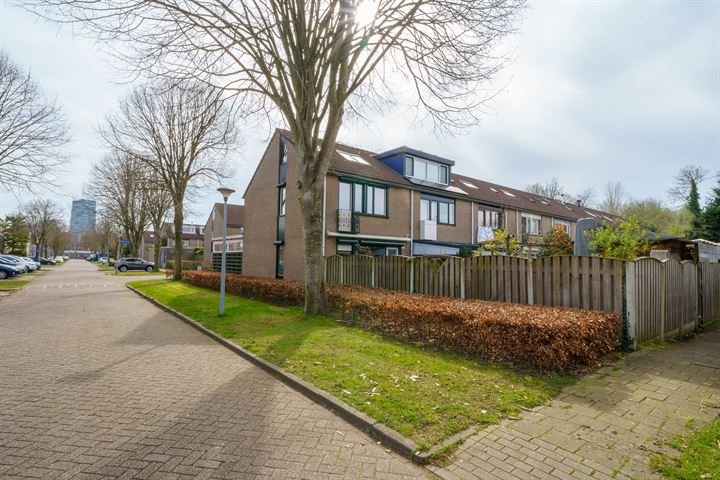 Bekijk foto 41 van Dragonstraat 2