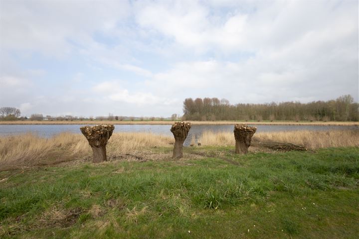 Bekijk foto 4 van Rozenlaan 11