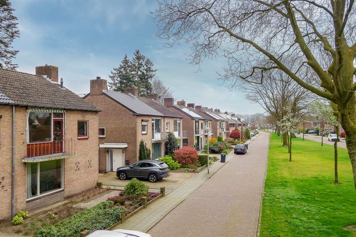 Bekijk foto 4 van Duizendschoonstraat 12