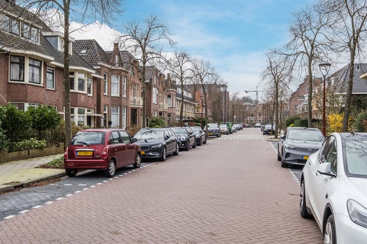 Bekijk foto 48 van Costerstraat 21