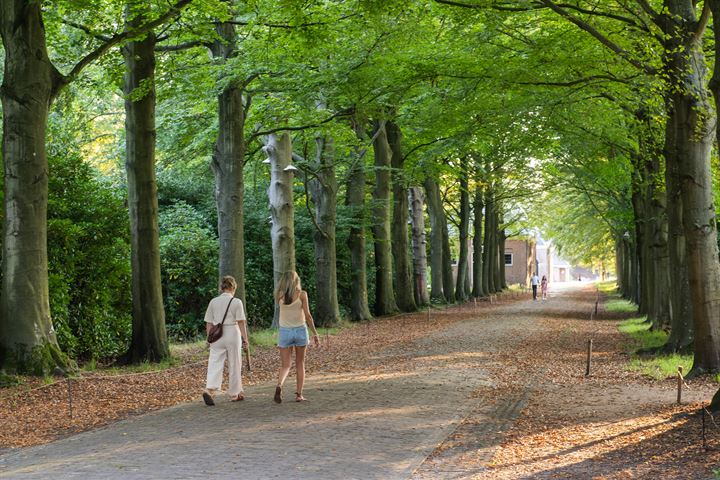 Bekijk foto 50 van Terheidenstraat 13