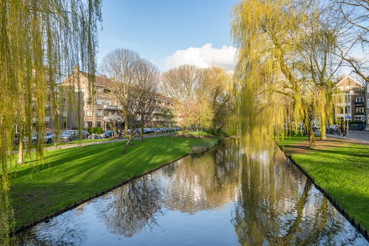 Bekijk foto 4 van Dresselhuysstraat 26-A1