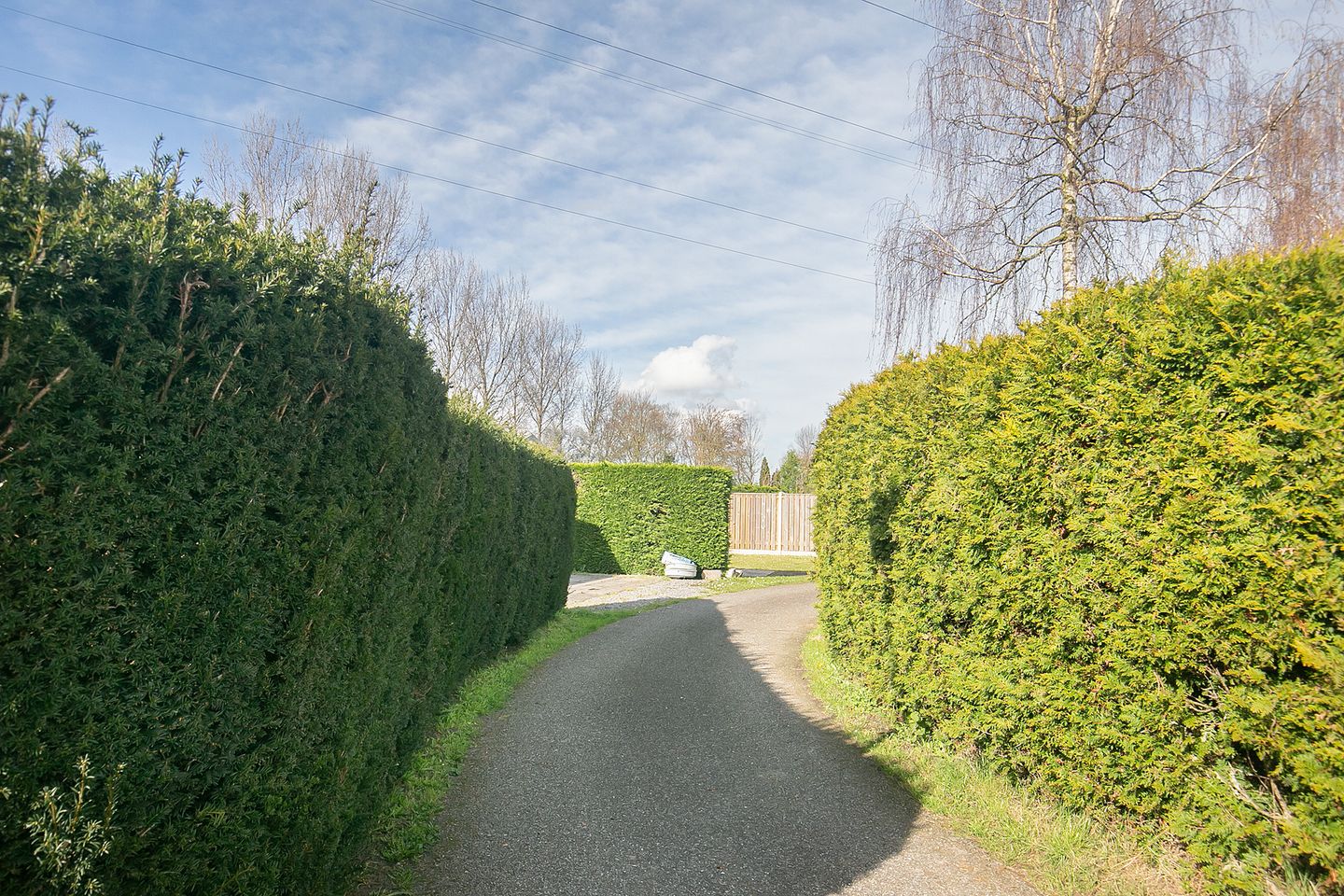 Foto 19 van Stelleplas 95