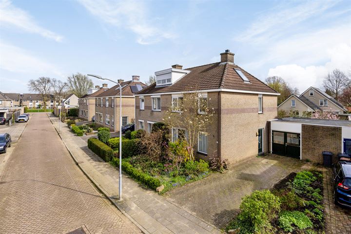 Bekijk foto 35 van Vleugelstraat 11