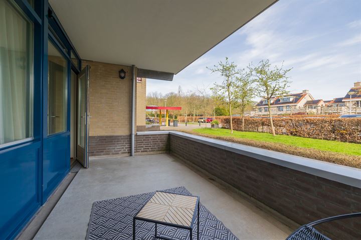 Bekijk foto 30 van Groot hoefbladlaan 42