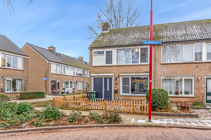 Bekijk foto 3 van Korenbloemstraat 29