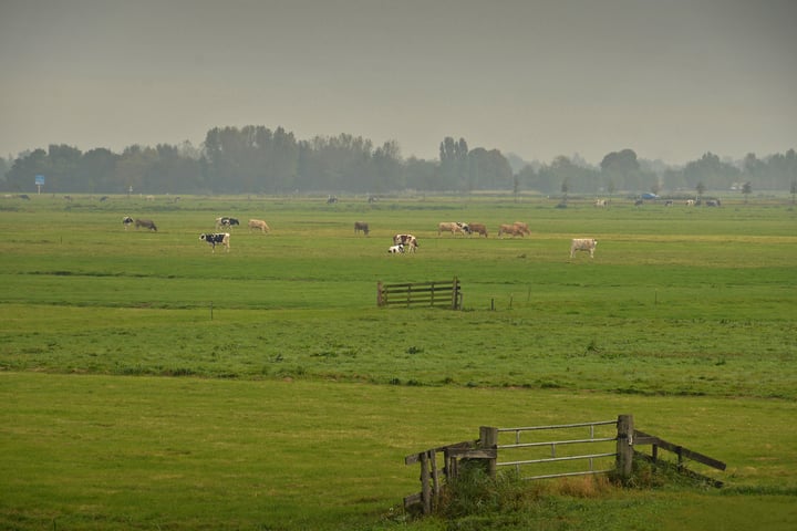 Bekijk foto 16 van Mandenmaker 28