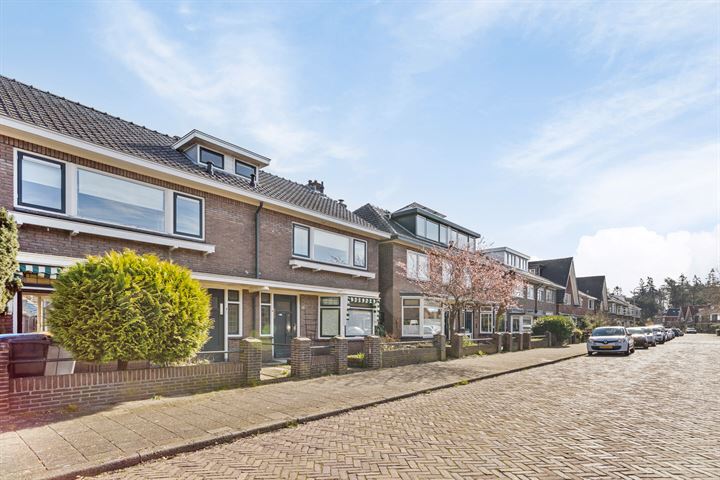 Bekijk foto 25 van Oudegoedstraat 56