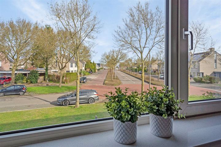 View photo 44 of Nieuwlandenlaan 29