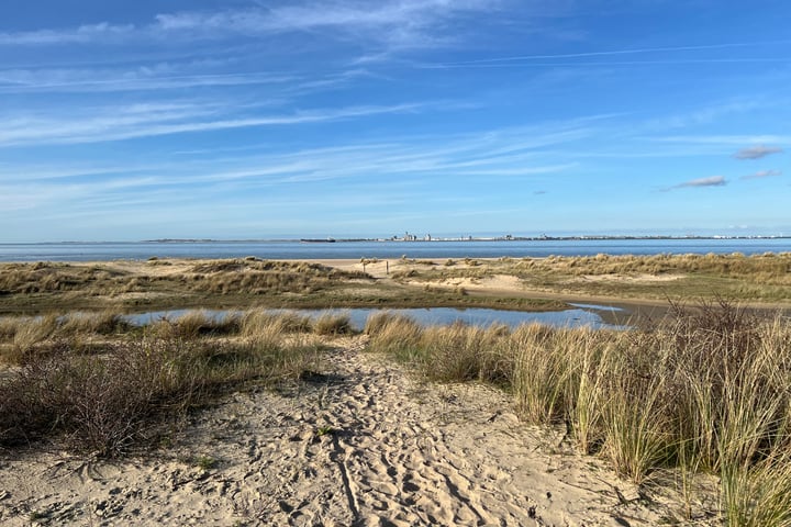 Bekijk foto 3 van Westhavendam 13-203