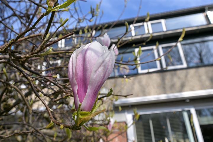 Bekijk foto 35 van de Oude Bleijk 175