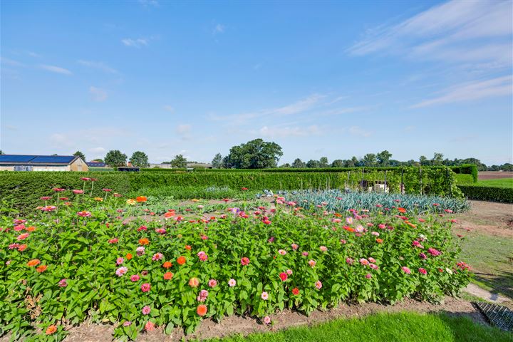 Bekijk foto 37 van Kuiperweg 7