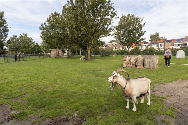 Bekijk foto 45 van Cornelis Drebbelstraat 11