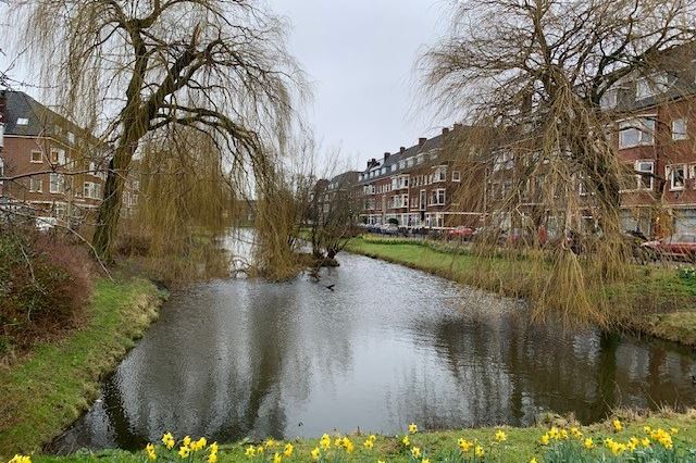 Bekijk foto 39 van Meloenstraat 21