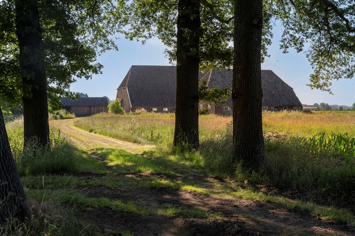 Bekijk foto 4 van Tolstraat 2