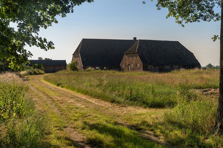 Bekijk foto 5 van Tolstraat 2