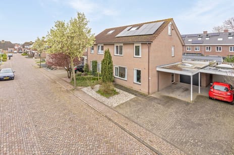 undefined main image