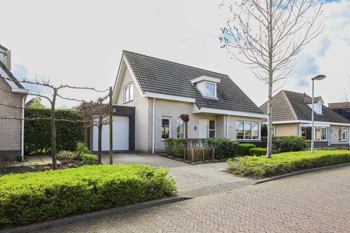 Bekijk foto 1 van Boterbloem 6