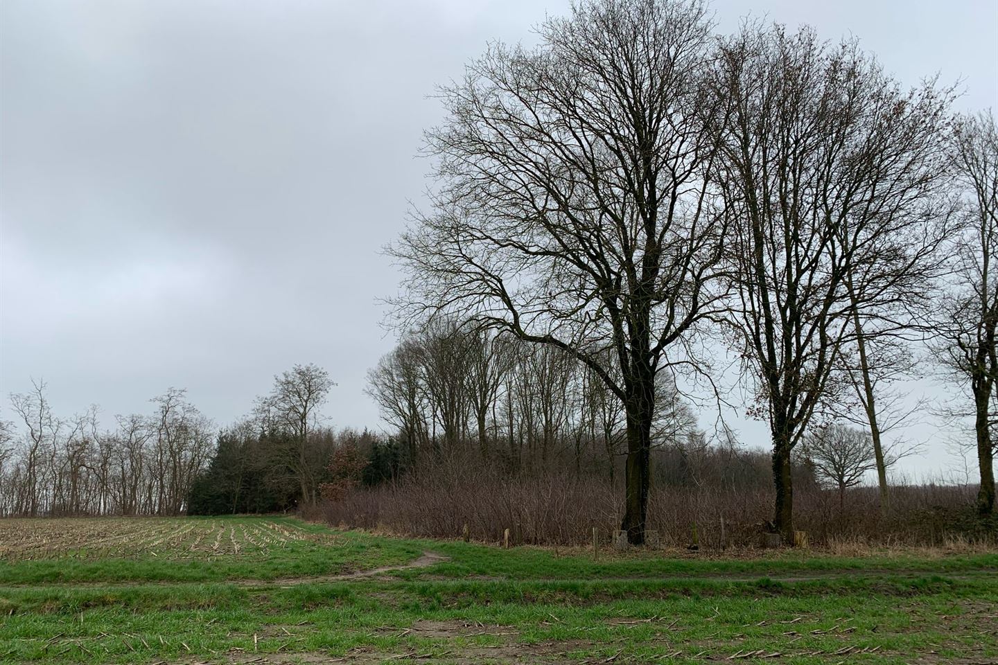 Bekijk foto 1 van Hemmelweg