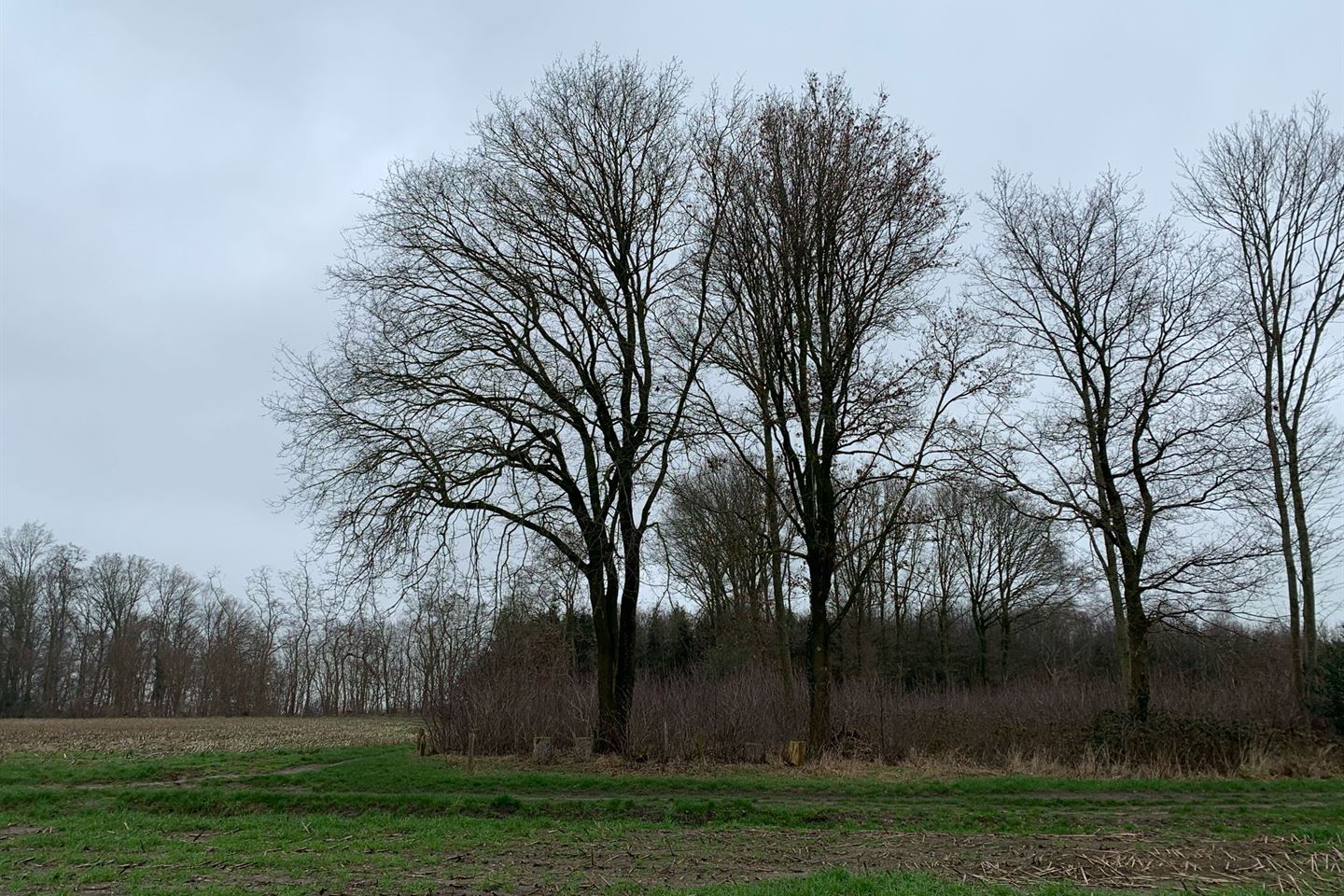 Bekijk foto 4 van Hemmelweg