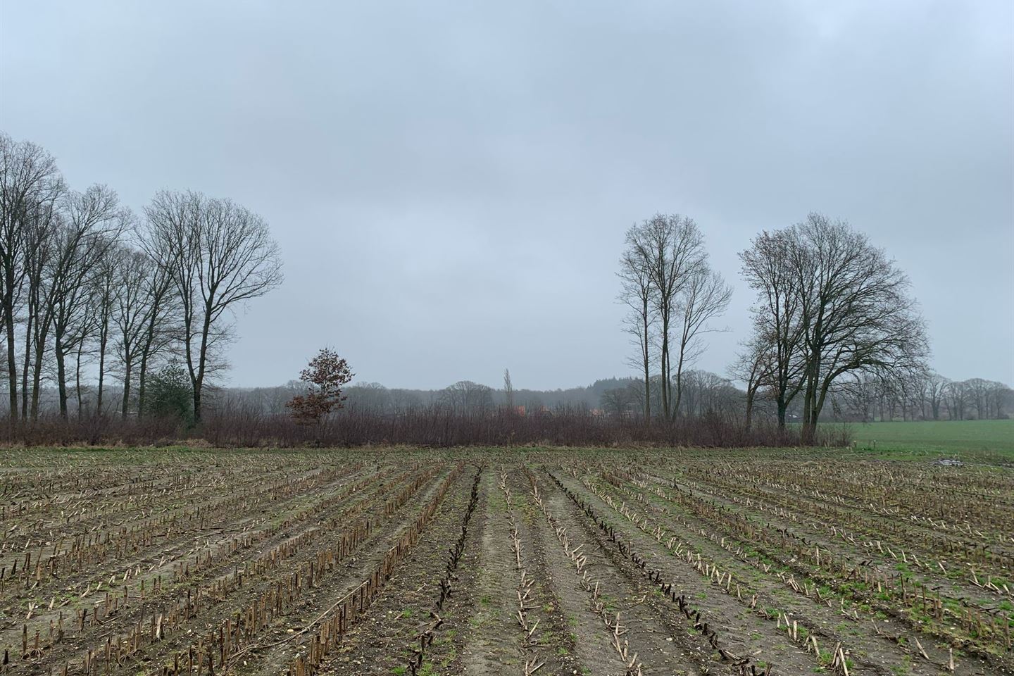 Bekijk foto 2 van Hemmelweg