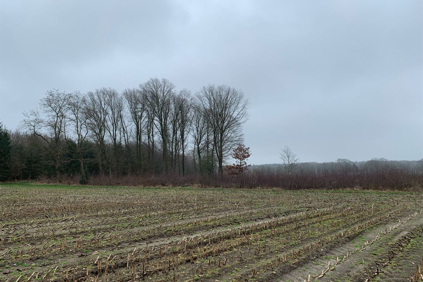 Bekijk foto 3 van Hemmelweg