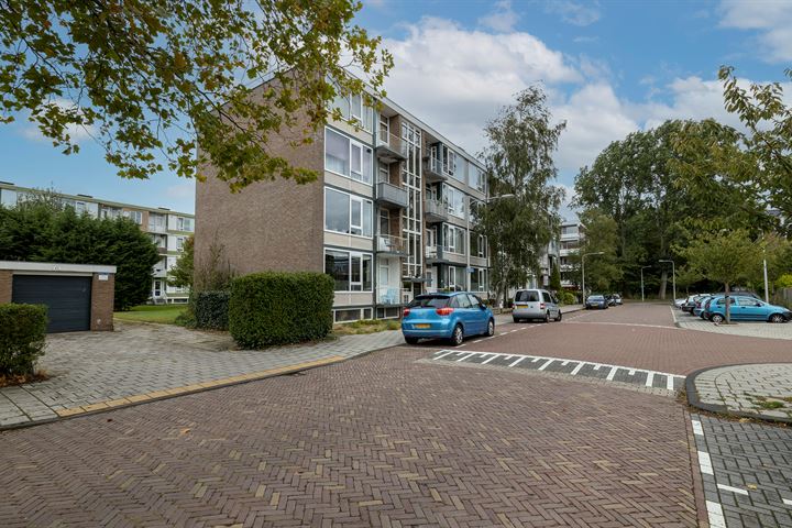 Bekijk foto 28 van Twickelstraat 81