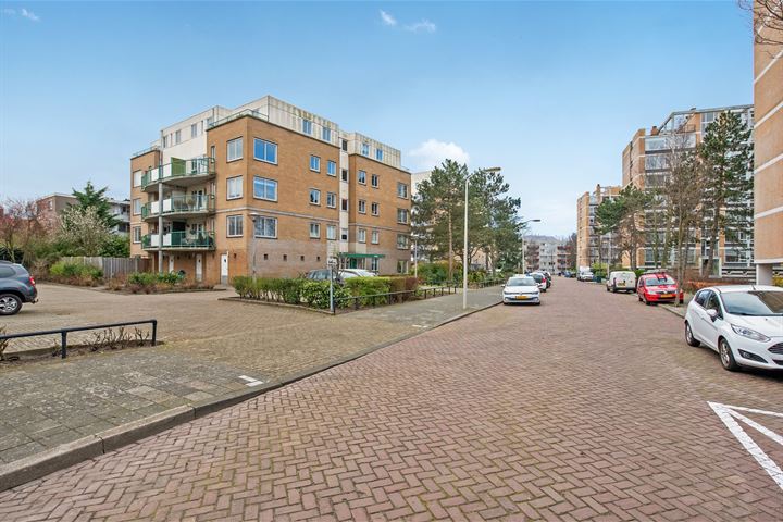 Bekijk foto 31 van Louis Davidsstraat 162