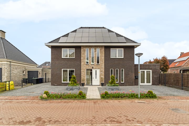 undefined main image