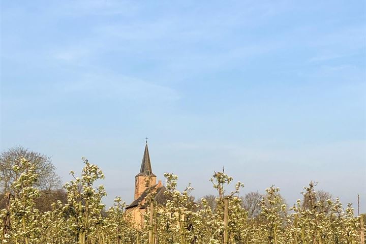 Bekijk foto 91 van Erichemseweg 58