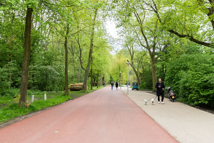 Bekijk foto 36 van Churchill-laan 206-3