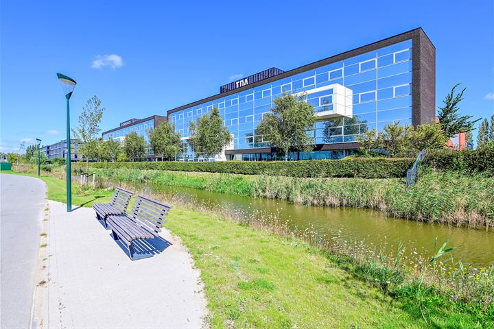 Tokyostraat, Lijnden