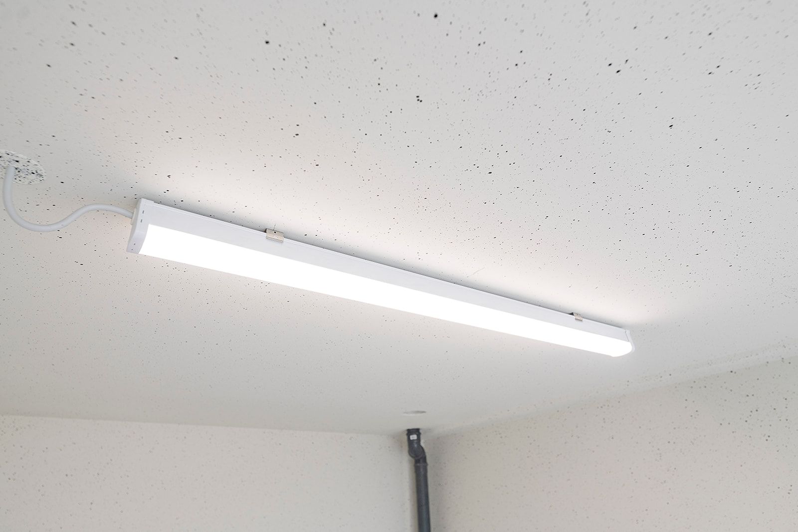 Photo 12 of Eeser Hout