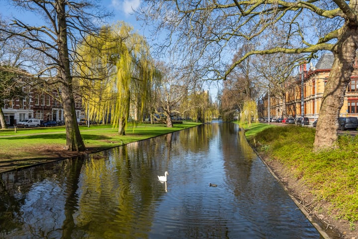 Bekijk foto 16 van Burgemeester Roosstraat 56-B-01VR