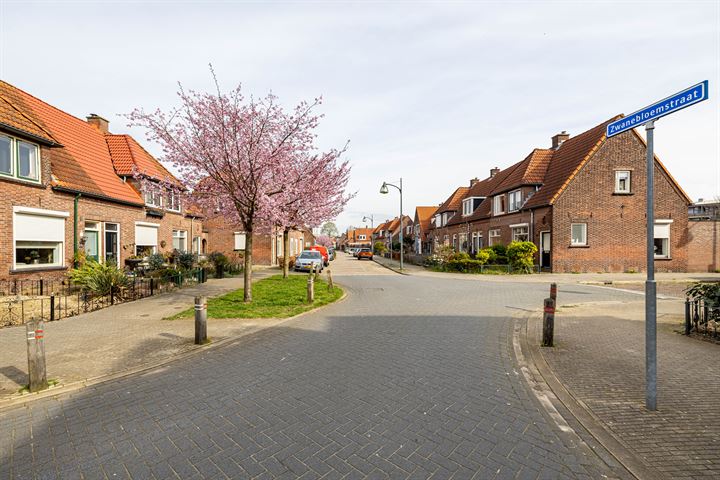 Bekijk foto 27 van Zwanebloemstraat 81