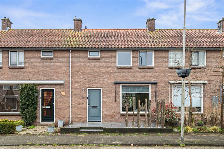 Bekijk foto 1 van Mr. Heemskerkstraat 75