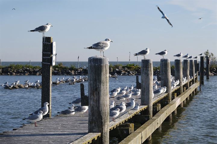 Bekijk foto 41 van Meerweg 27